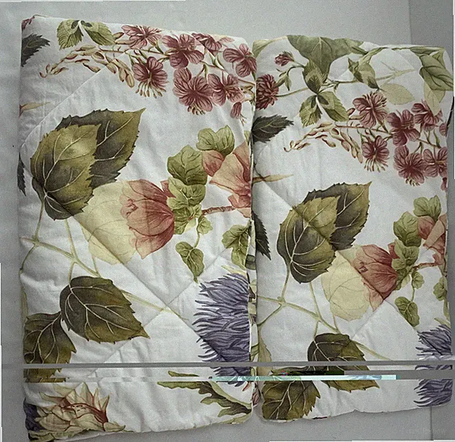2 Pottery Barn Quilted Botanical Cotton King Pillow Shams 849